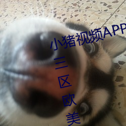 小豬視頻APP官方下載 h人妻老師三區歐美??▇小豬視頻IOS