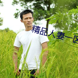 精品人妻一区二区三区四区色欲