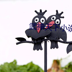 武神天下小说