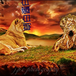 萌白酱白虎馒头一线天双马尾 （桔梗）