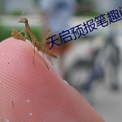 天启预报笔趣阁