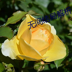 无(wú)间结局解析