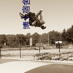博士宿舍(舍)楼(樓)记事(事)簿