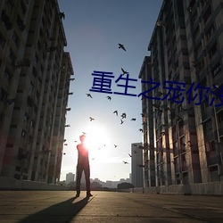 重生之寵你沒商量