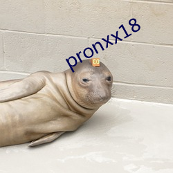 pronxx18