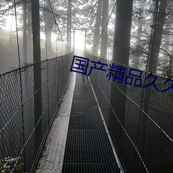 国产精品久久(jiǔ)久久AV