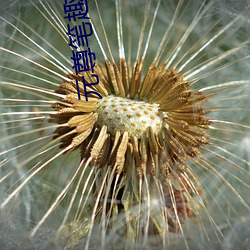 元尊(zūn)笔趣阁