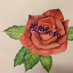 夜色sese