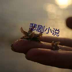 悲剧小说