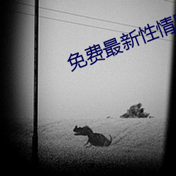 免费最新性情网站