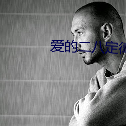 爱(ài)的二八定律小说