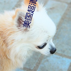 凯时|AG(AsiaGaming)优质运营商