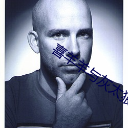 喜(喜)羊羊(羊)与灰太(太)狼之方程式