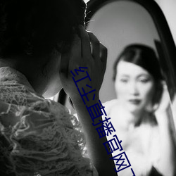 红尘直(zhí)播官网下(xià)载
