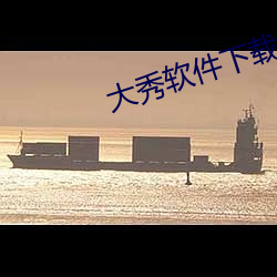 大秀软件下载