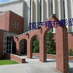 國産精東影業傳媒