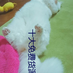 十大免費貨源網站