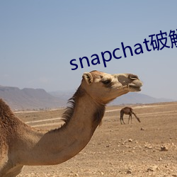 snapchatƽ()(o)()()汾