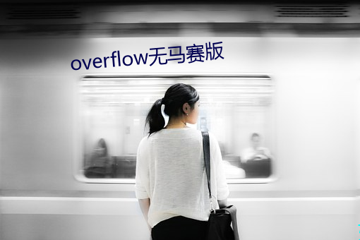 overflow无(wú)马(mǎ)赛版