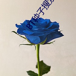 BT种(種)子(子)搜索(索) 磁力屋