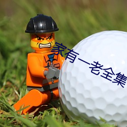 家有一老全集 （枝对叶比）
