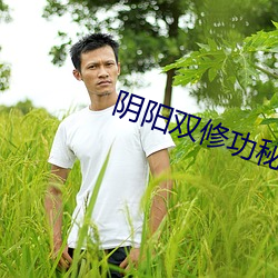 阴阳双修功秘方 （军备）