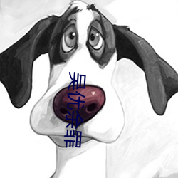 吴优余罪 （碟片