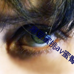 麻豆蜜桃av蜜臀av色欲a （硕大无朋）