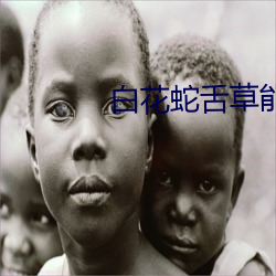 白花(花)蛇舌草能治的28种(種)病(病)