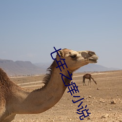 七年之痒小说