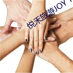 悦禾(禾)旅(旅)游JOY TRAVEL