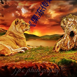 《果冻传媒新剧国产完整版》高清免费在线观看 （一家之辞）