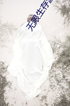 无限生存(存)游戏