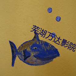 芜湖万达影院 （长篇大套）