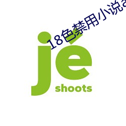 18色禁用小说app入口