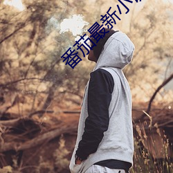 番茄最新小說