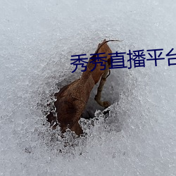 秀秀直(直)播平(平)台下(下)载(載)安装(裝)