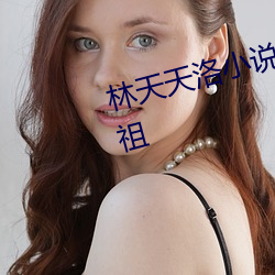 林天天洛(洛)小说免费阅(閱)读(讀)史上最狂老(老)祖