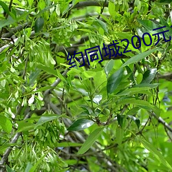 约同城200元2小时
