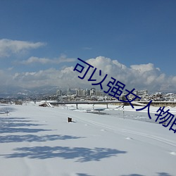 可以强女(nǚ)人物的日系游戏