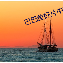 巴巴鱼好片中(zhōng)文字巴巴鱼