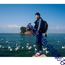 鍾麗缇色戒電影在線觀看