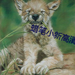 蜡笔小新高清壁纸