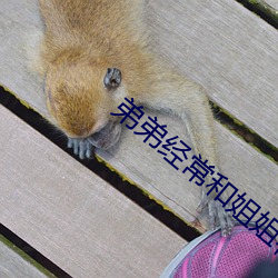弟弟经：徒憬阆啻寐 （乐此不疲）
