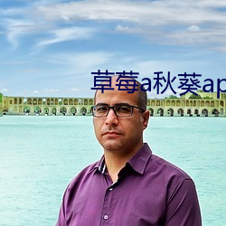 草莓a秋葵app破解版