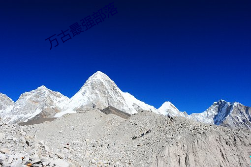 万古最强部(bù)落