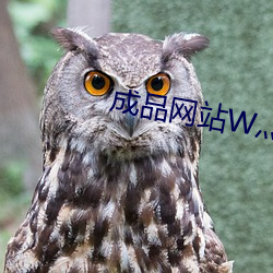 成品网站W灬源码最新版(bǎn)