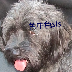 色中色sis