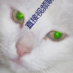 直接视频聊天的app