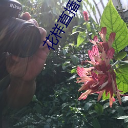 花样直播(bō)app下载